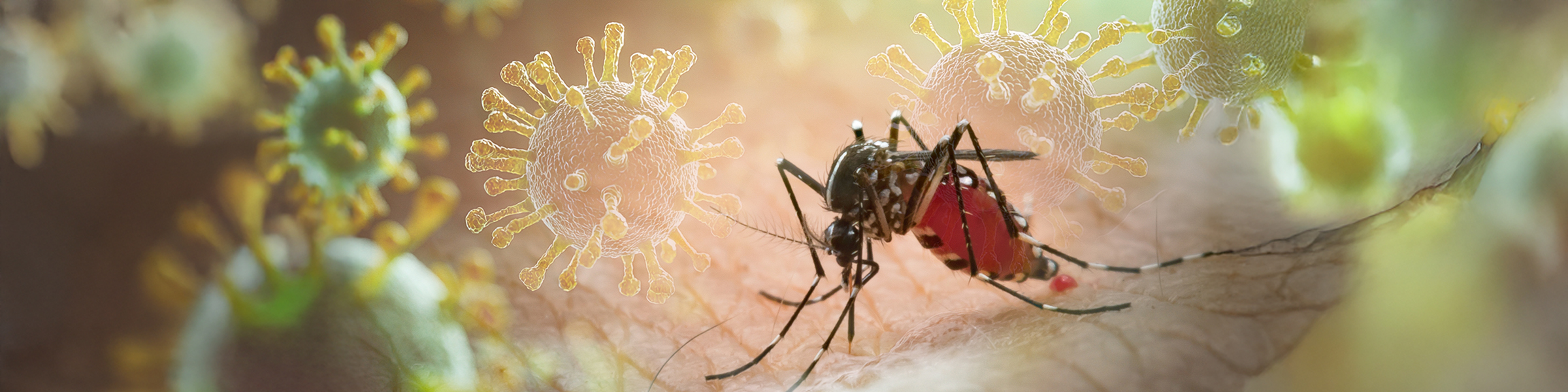 ceabcsic's tweet card. As the world woke up to a global pandemic in early 2020, a new EU-funded research initiative was just getting underway – the Versatile Emerging Infectious Diseases Observatory (VEO). The researchers...