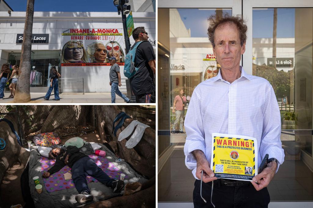 TheSMCoalition's tweet card. A group of residents and business owners in a tony California beach enclave that’s been overrun by homeless junkies is paying to ship local vagrants out of town — and claims both sides are...