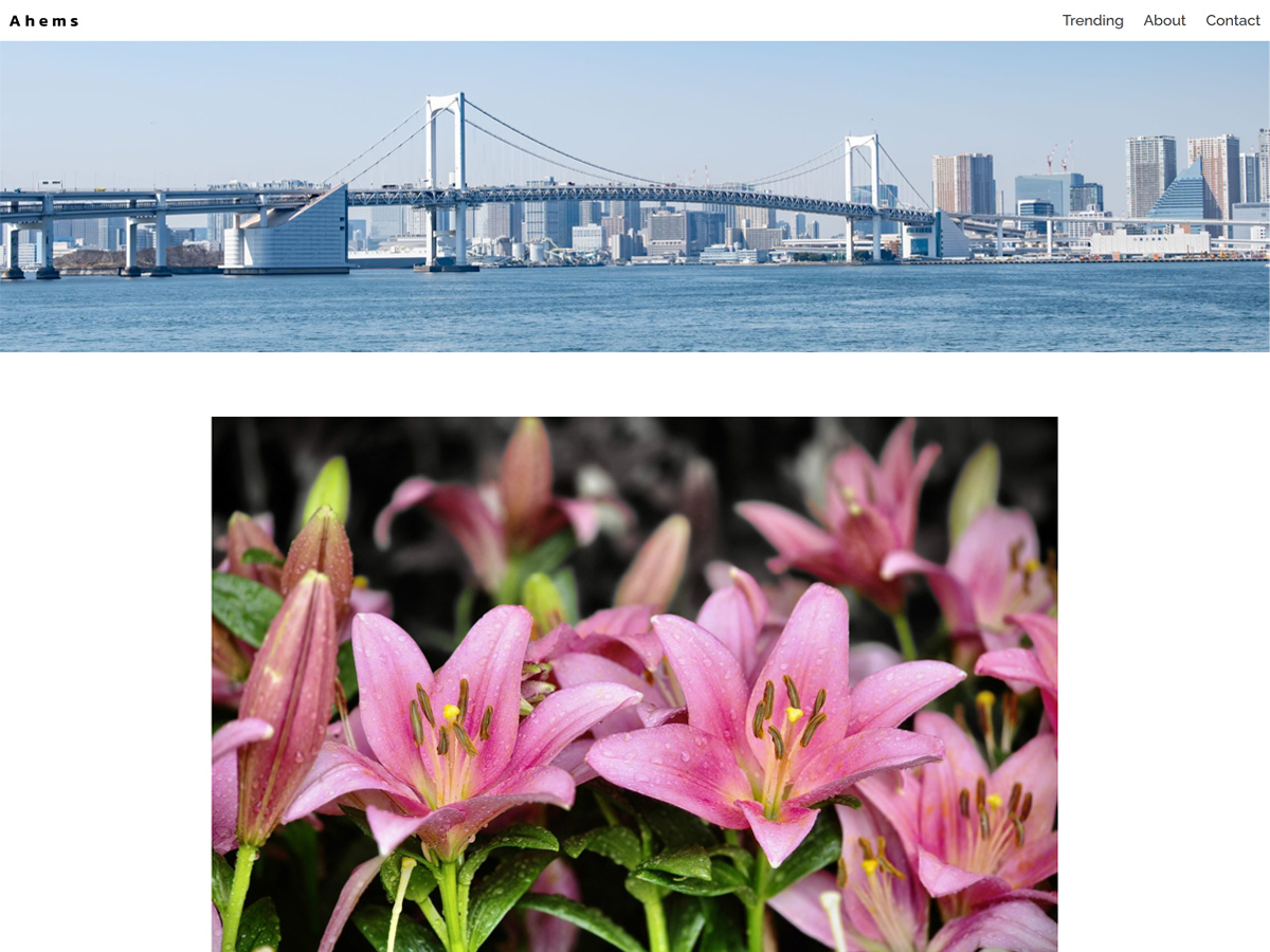 wpexpert3's tweet card. A lightweight WordPress full-site-editing theme for blog.