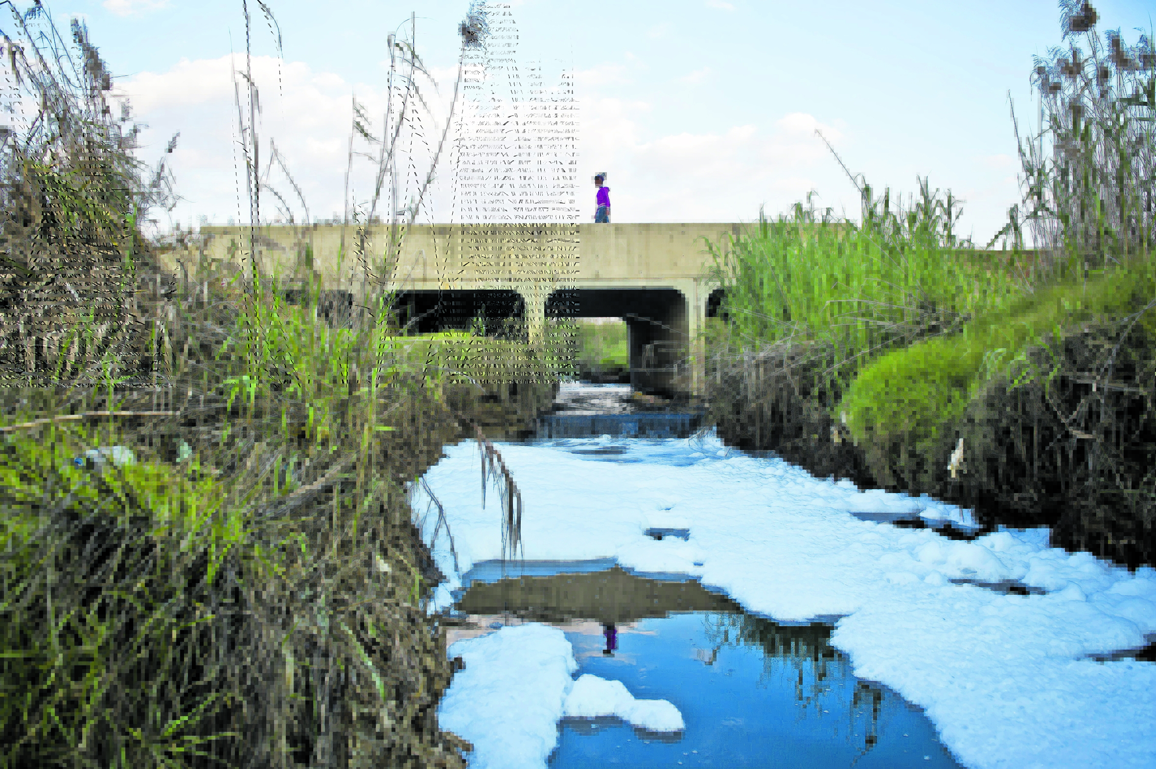 mailandguardian's tweet card. The government needs to form partnerships with communities, including businesses, which should empower employees to create a shared vision of environmental sust
