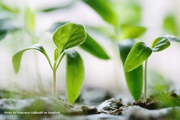 ASIMagazine's tweet card. Hexion recently announced a partnership with Bloom Biorenewables, a Swiss startup that has developed a breakthrough method for preserving the natural adhesive properties of lignin.