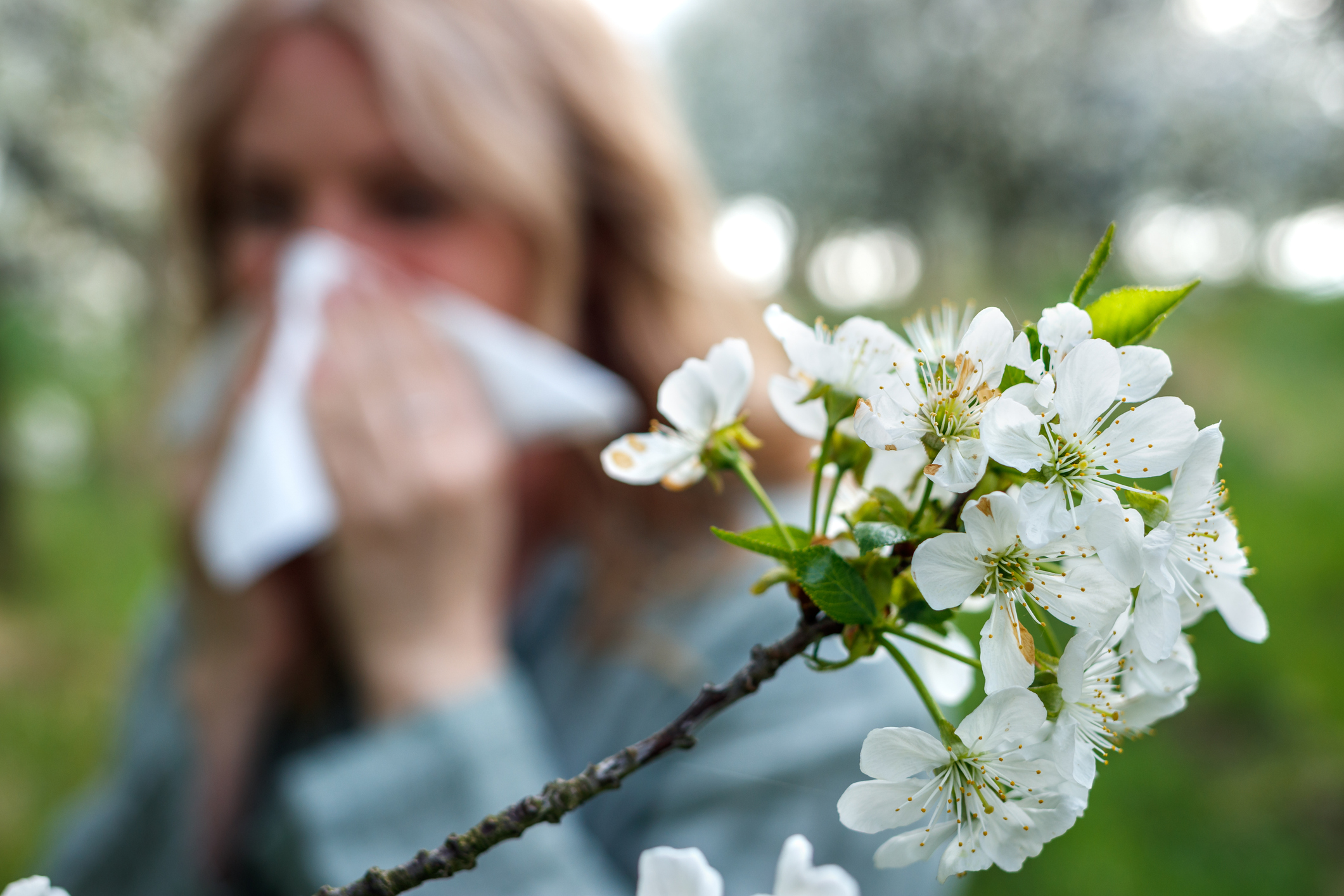 hackneygazette's tweet card. Thousands of people with debilitating hay fever symptoms are set to benefit from a new daily treatment that officials say offers "long-term…