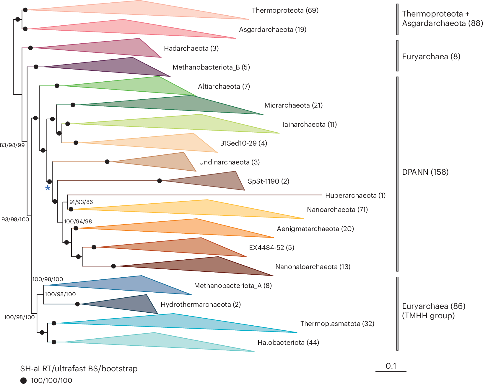 CPR_DPANN_jp's tweet card. Nature Microbiology - Phylogenetic reconstructions with conserved protein markers from the 11 known DPANN phyla reveal their monophyletic placement within the Euryarchaeota.