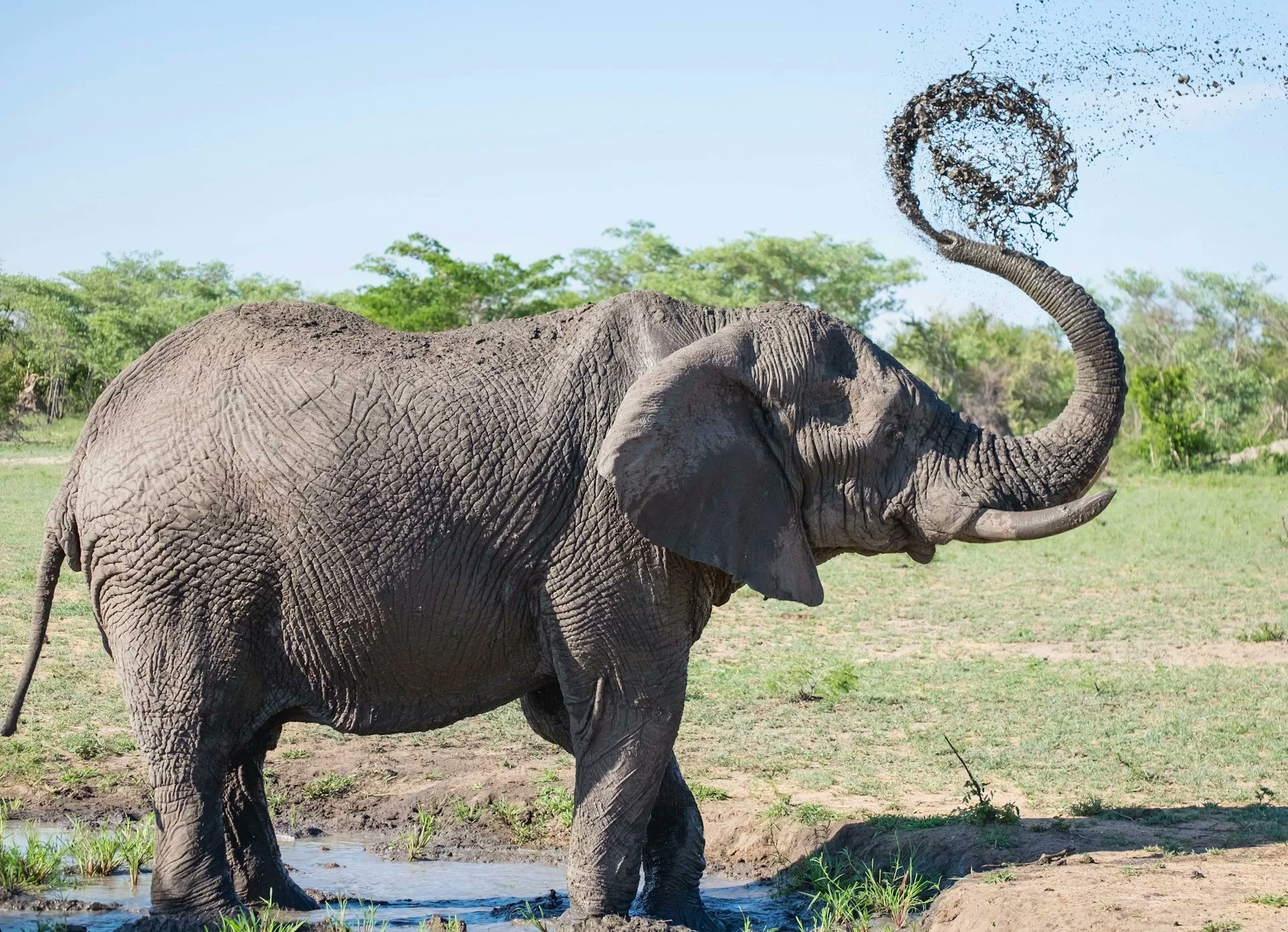 GetawayMagazine's tweet card. A 39-year-old staff member at Gondwana Private Game Reserve near Mossel Bay was tragically killed by an elephant on 22 July.