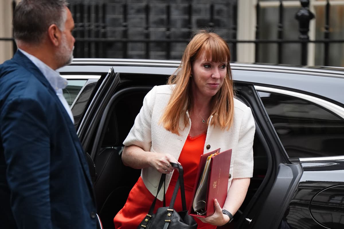standardnews's tweet card. Deputy Prime Minister Angela Rayner told Cabinet colleagues immigration and increasing time spent online are having a ‘profound impact on society’.