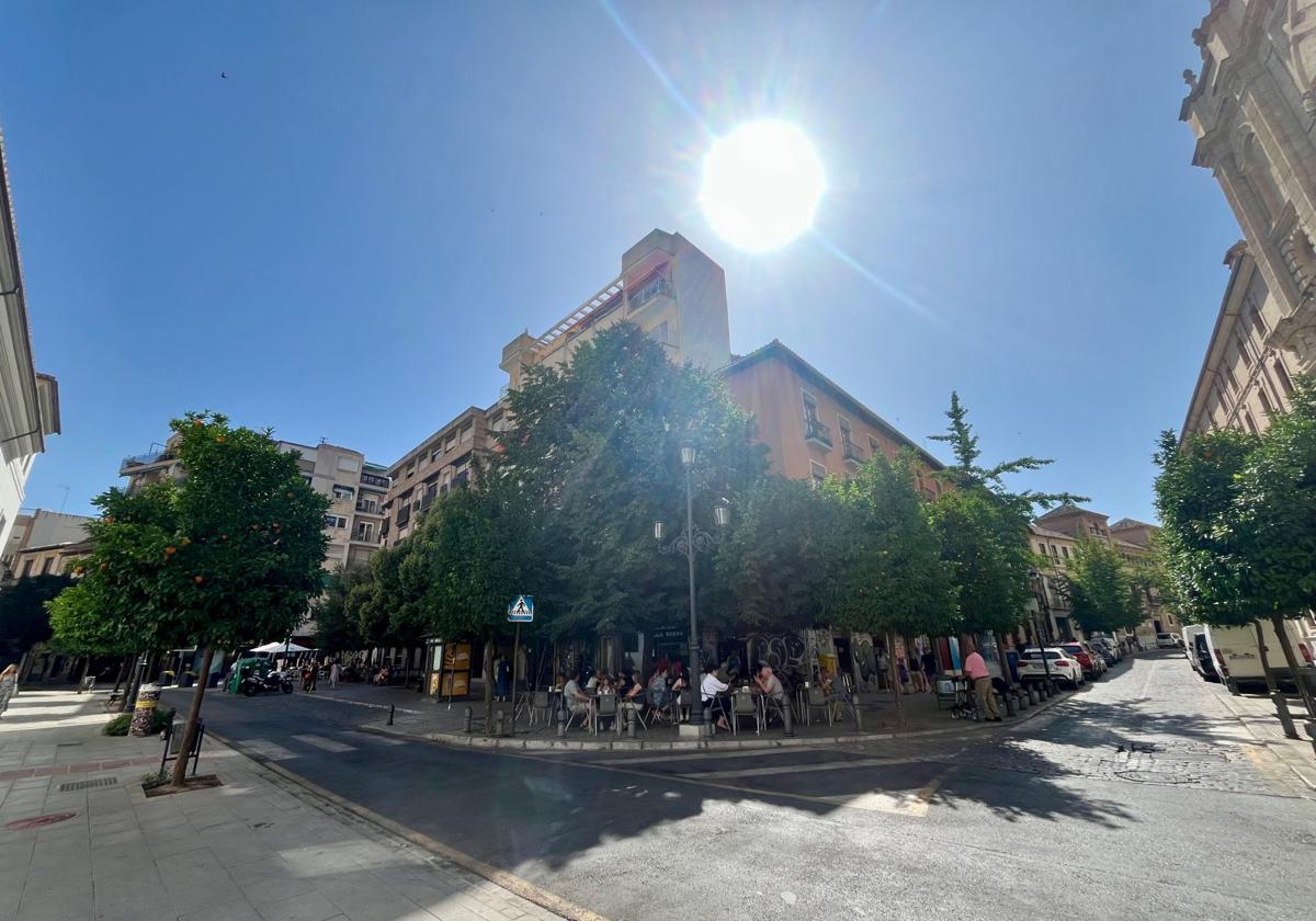 JeCabrero's tweet card. La terraza del bar parece una cueva verde en la que el desayuno sabe a gloria