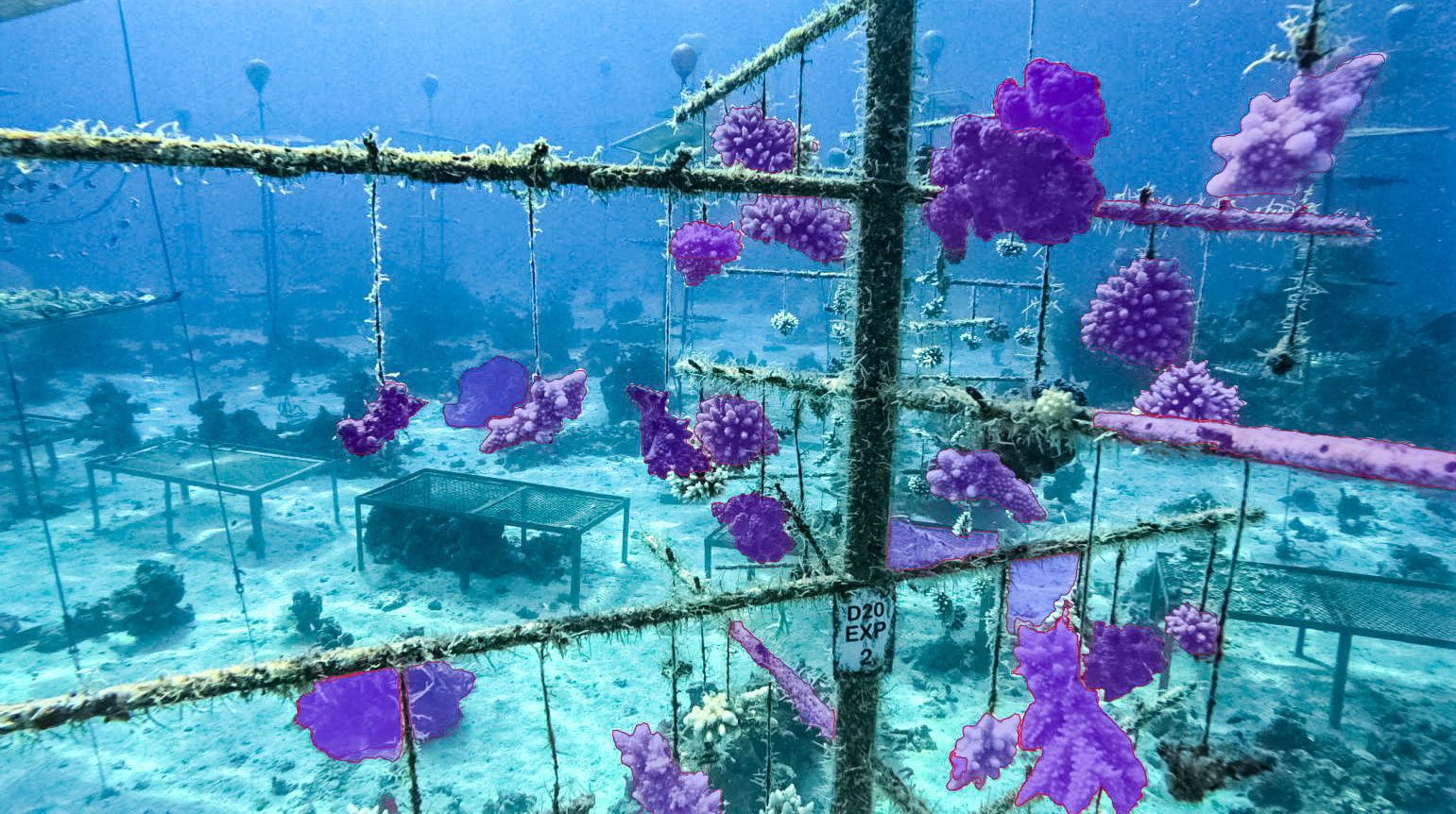 TechAcuteCom's tweet card. Coral reef restoration has never been attempted on the scale we are envisioning. Collaborations like this enable us to refine our methods...