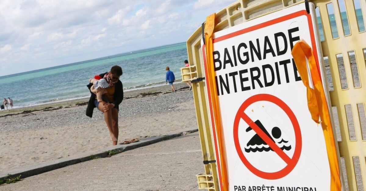 lamanchelibre's tweet card. Risque sanitaire. La baignade interdite sur plusieurs plages de la Manche et du Calvados