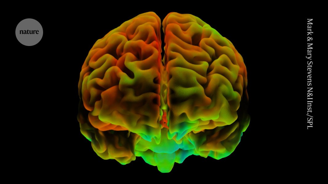 Nature's tweet card. Nature - Insights from brain imaging could have implications for mental-health research.