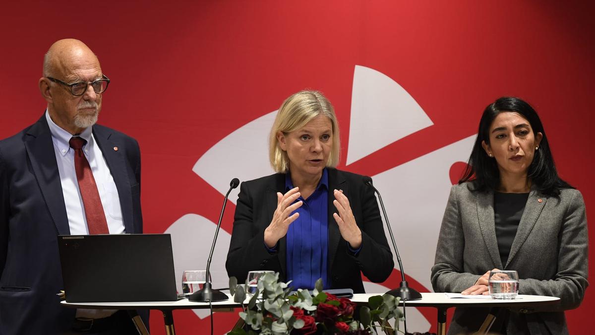 lindgren_p's tweet card. Storskaliga försök att blanda befolkningen i Sverige efterfrågas inte av någon och kommer inte rätta till migrationspolitikens misslyckanden.