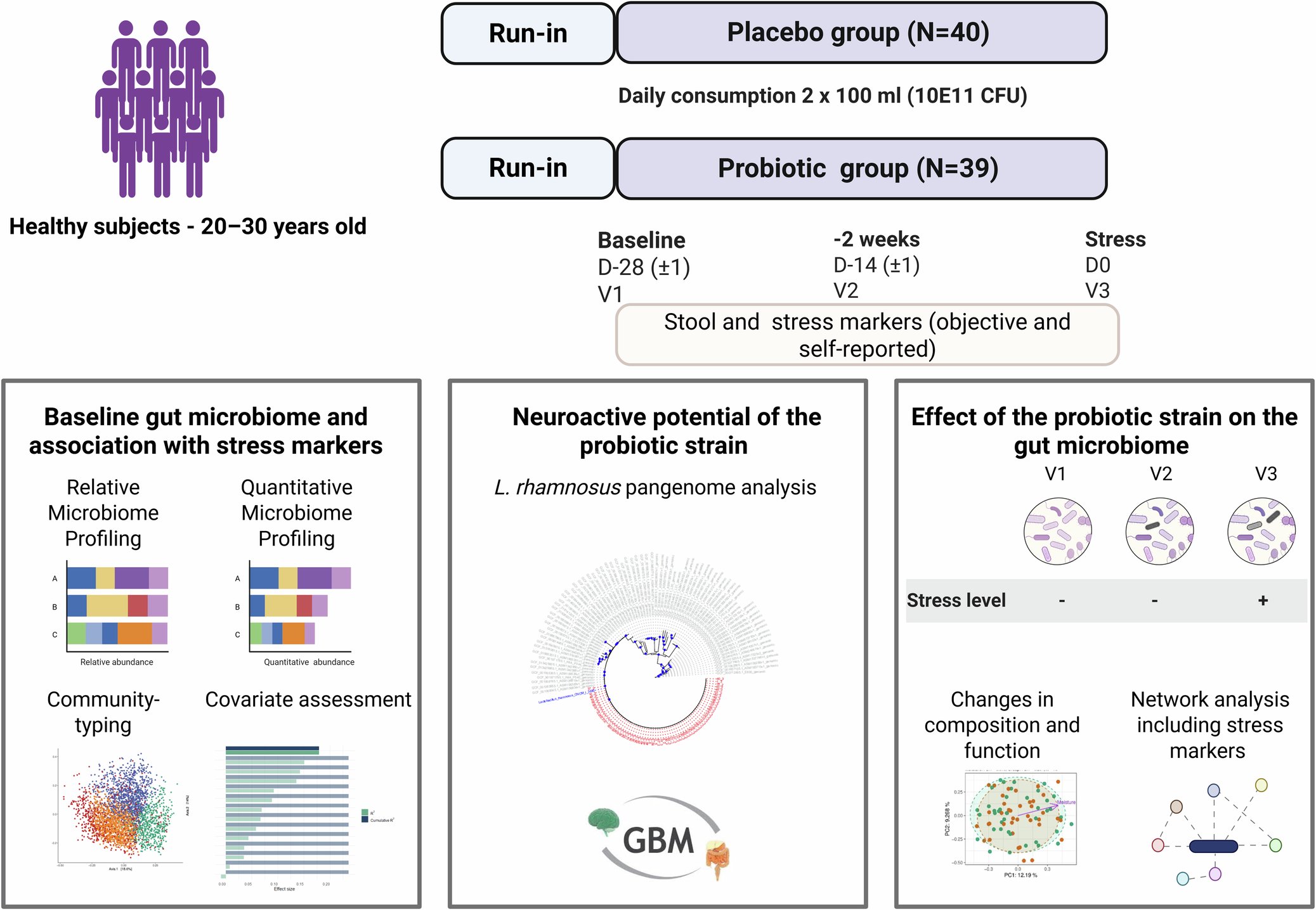 BoehmeMarcus's tweet card. npj Biofilms and Microbiomes - Probiotic-mediated modulation of gut microbiome in students exposed to academic stress: a randomized controlled trial
