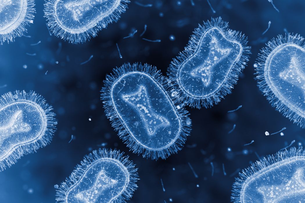 KindrachukJason's tweet card. A UM expert is a vital part of an international team of scientists studying the alarming changes in the spread of mpox across the Democratic Republic of Congo (DRC) to better understand the rapidly...