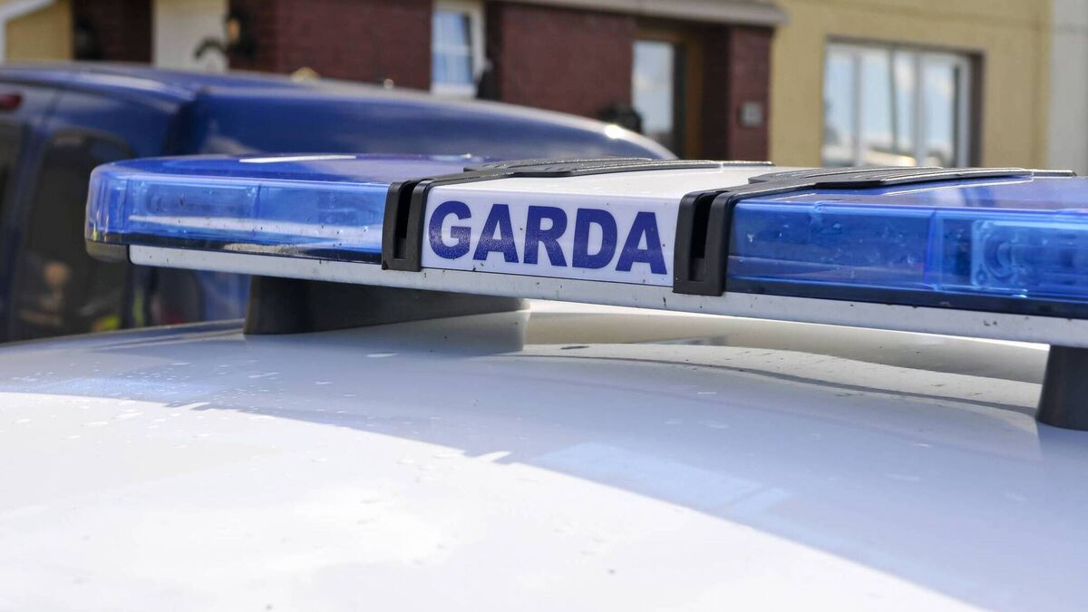 irishexaminer's tweet card. After getting out of the car, the driver discovered that it was not a person who had been hit but stuffed plastic bags that had been arranged to look like a body