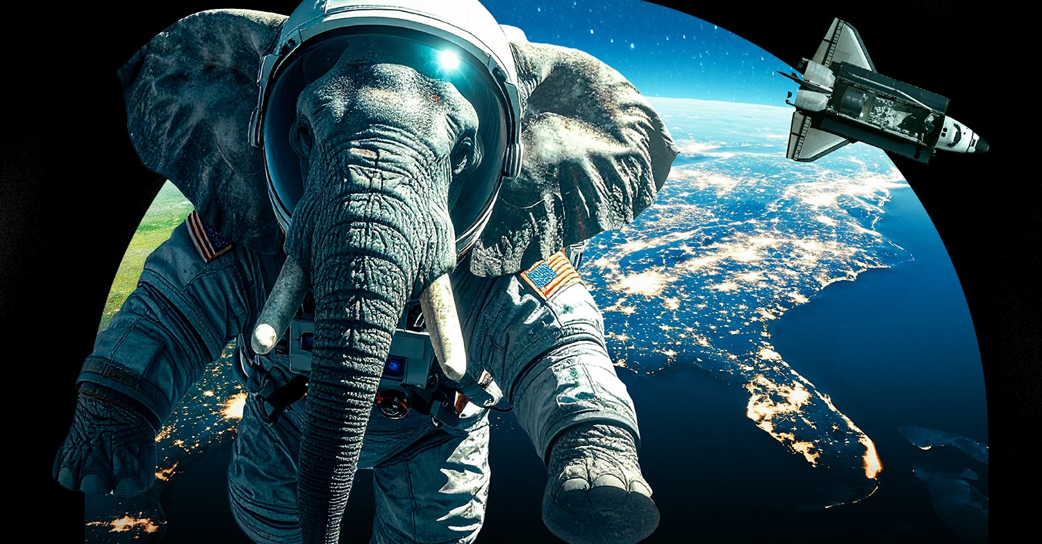 FloridaGOP's tweet card. Florida GOP Urges NASA to Relocate Headquarters to Florida - Florida GOP