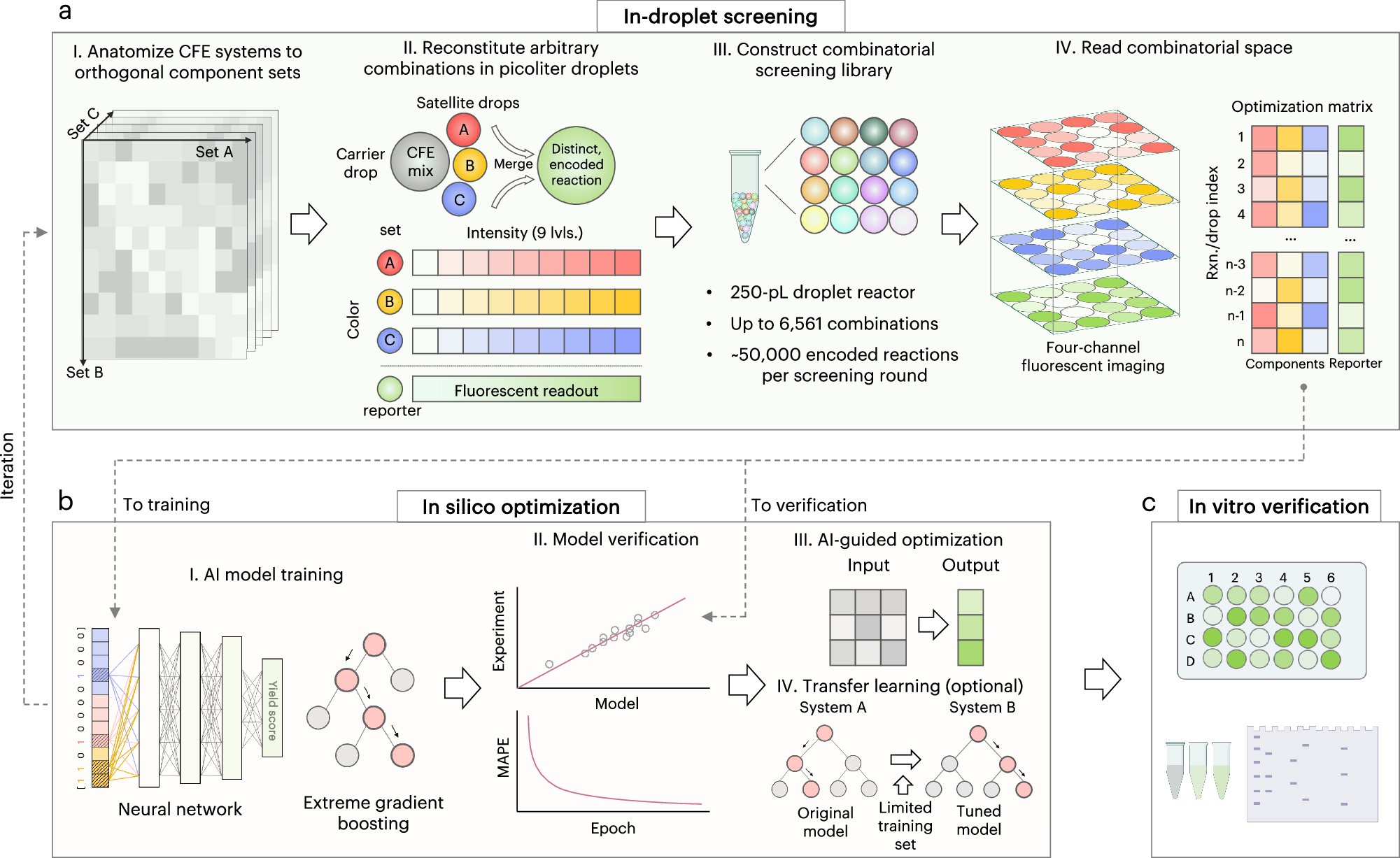 Jian_Li_SHT's tweet card. Nature Communications - Cell-free gene expression (CFE) systems are often constrained by numerous biochemical components required to maintain biocatalytic efficiency. Here, the authors propose a...