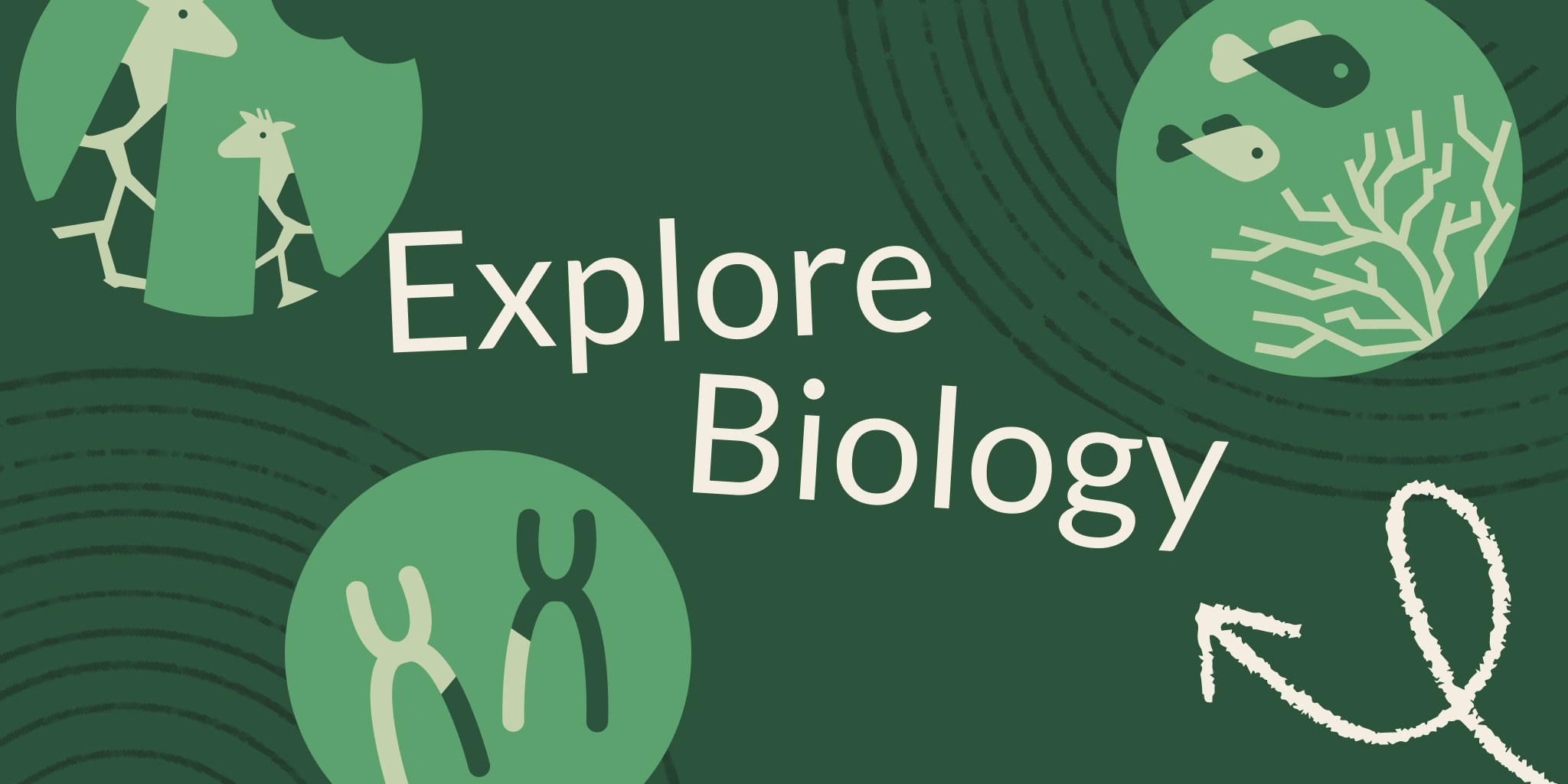 khanacademy's tweet card. New year, new tools. Make biology engaging and effective with Khan Academy’s free NGSS-aligned hands-on activities, unit guides, and interactive simulations—designed for real classrooms.