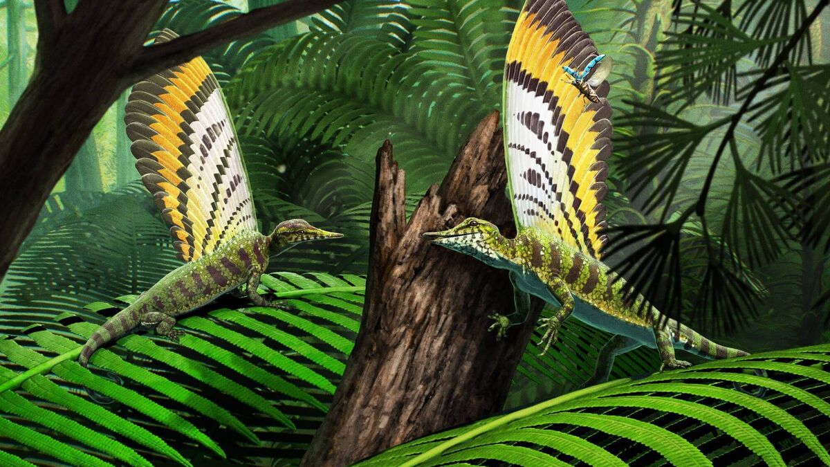 irishexaminer's tweet card. Discovery 'reveals a deeper, more complex evolutionary story than we ever expected', UCC palaeontologist said