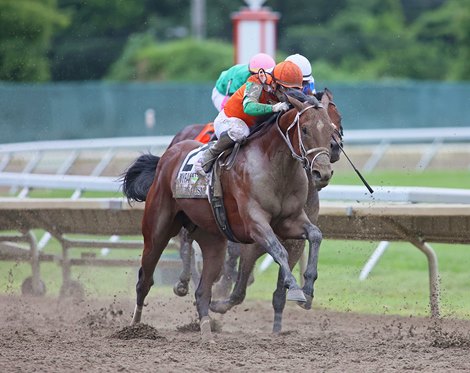 BloodHorse's tweet card. After winning the July 19 Haskell Stakes (G1) by half-length at Monmouth Park, Journalism has sprung from No. 6 to No. 3 in the National Thoroughbred Racing Association's Top Thoroughbred Poll.