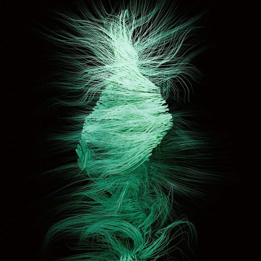 RaymondConnol15's tweet card. “Bristles” is a creation by Diego Mac, who has stood out at the forefront of contemporary art by dedicating himself to researching and fusing the language...