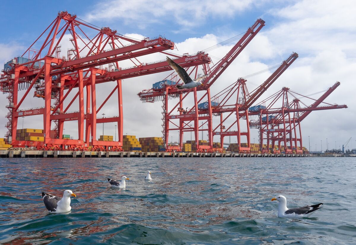 LogisticsLee's tweet card. The busiest US maritime complex looks to get an increase in container cargo in the next couple weeks as businesses race to stockpile ahead of global tariffs that President Donald Trump has threatened...