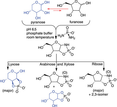 PCE3_Sci's tweet card. Diamidophosphate phosphorylates the four pentoses under mild aqueous conditions. Ribofuranosyl-cyclicphosphates are formed efficiently, while the other three pentoses react slowly to form furanosyl-...