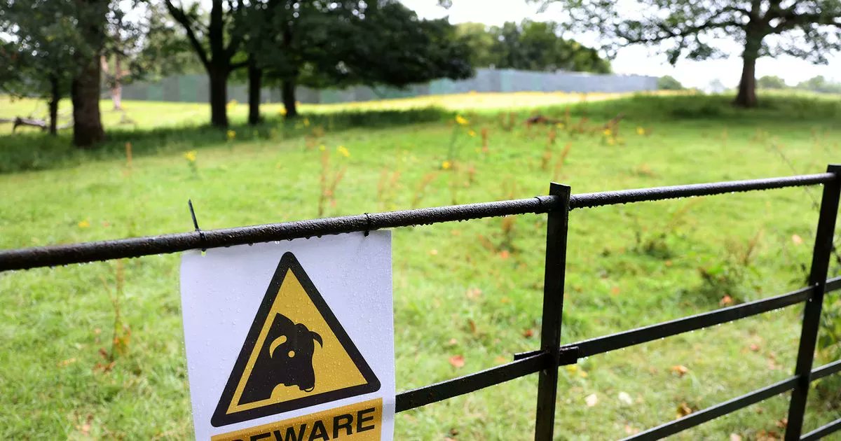 diannebourne's tweet card. Fans without tickets are being urged NOT to head to Heaton Park to try and listen in to the Oasis gigs amid warnings over public safety