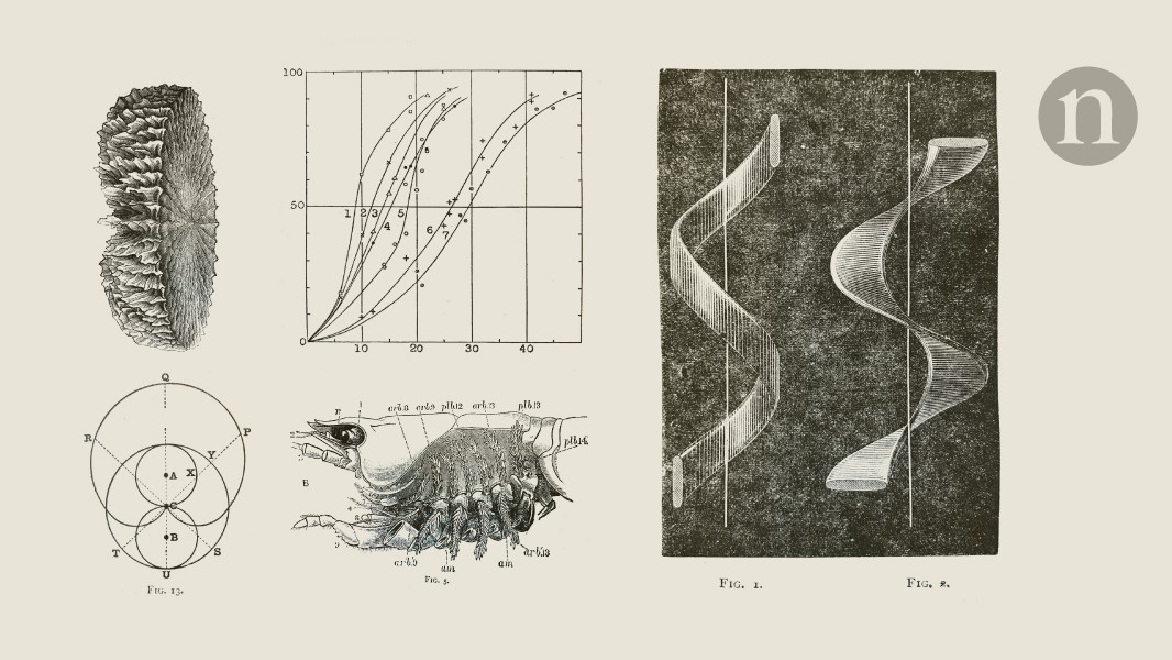 Nature's tweet card. Nature - Snippets from Nature’s past.