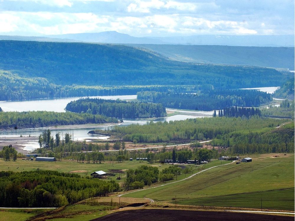 NancyKnicker's tweet card. Wendy Holm: Like the dinosaurs of old, the Site C white elephant is mired in prehistoric mud