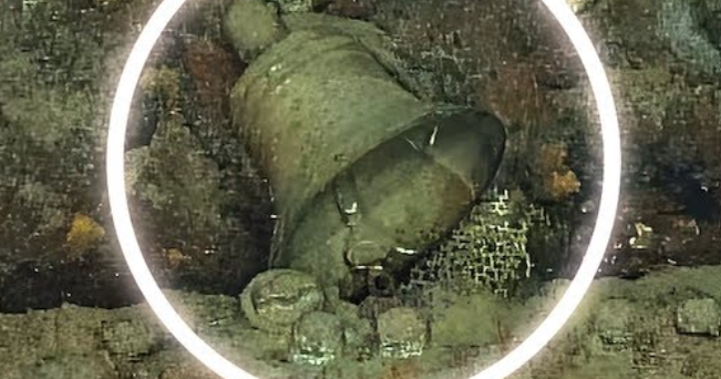 CBSMornings's tweet card. Explorers have discovered wartime torpedoes among the wreckage of a sunken U.S. destroyer that went down near the Solomon Islands during World War II.