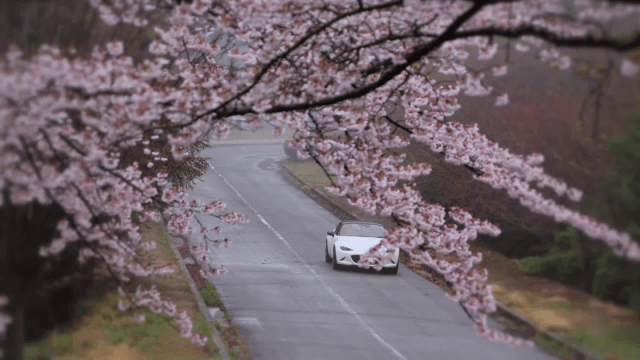 WLNS's tweet card. (TestMiles) – As car prices rise and EV incentives shrink, new cars under $30,000 are becoming unicorns rare but real. This summer, buyers still have exciting options that are high in value a…