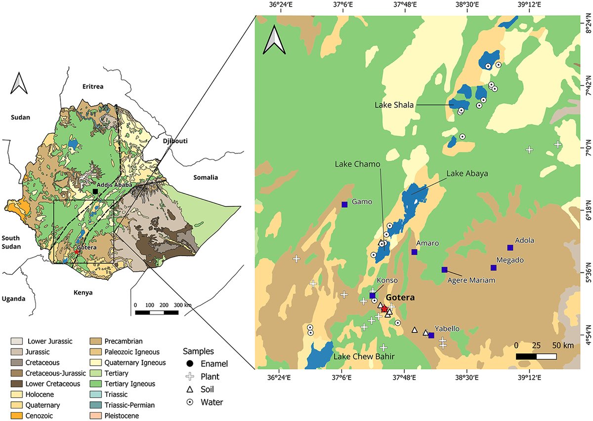 SeminewA's tweet card. Tracing human and animal mobility behavior, land use, and exploitation strategies through strontium (Sr) isotope analysis is critical for archaeological and ...