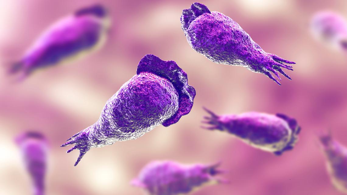 kare11's tweet card. These infections are extremely rare, with fewer than 10 cases a year in the U.S. However, those cases are usually deadly.