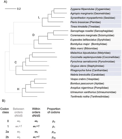 EvolLetters's tweet card. Higher taxa are normally considered to be arbitrary levels in the branching tree of life, with no level having greater or lesser significance for evolution