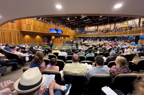 BloodHorse's tweet card. Sales histories for Fasig-Tipton's 2025 New York-Bred Yearlings Sale Aug. 10-11 in Saratoga Springs, N.Y.