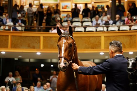 BloodHorse's tweet card. Sales histories for Fasig-Tipton's select yearling sale Aug. 4-5 in Saratoga Springs, N.Y.