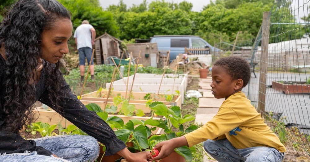 jonbloomfield2's tweet card. The allotment movement has substantial potential but it remains a neglected backwater.
