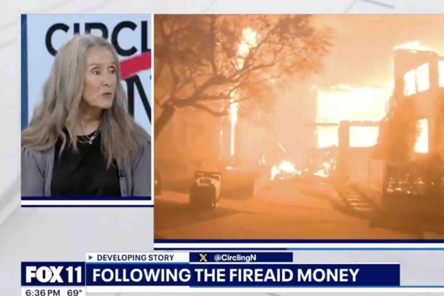 DiamondandSilk's tweet card. A star-studded concert that reported raising around $100 million for victims of the fires that rocked Los Angeles earlier this year suddenly has little to