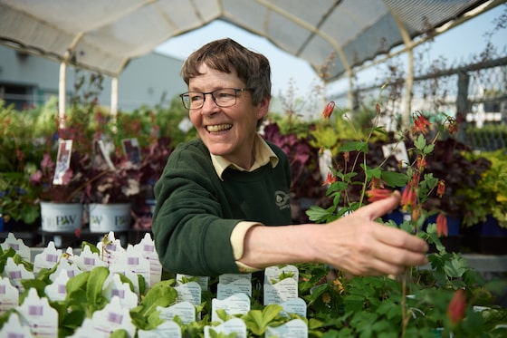 EmmaLGraney's tweet card. Watching Mary Reid, owner of Green Thumb Garden Centre in Ottawa, solve customers’ gardening problems is like watching a magic trick