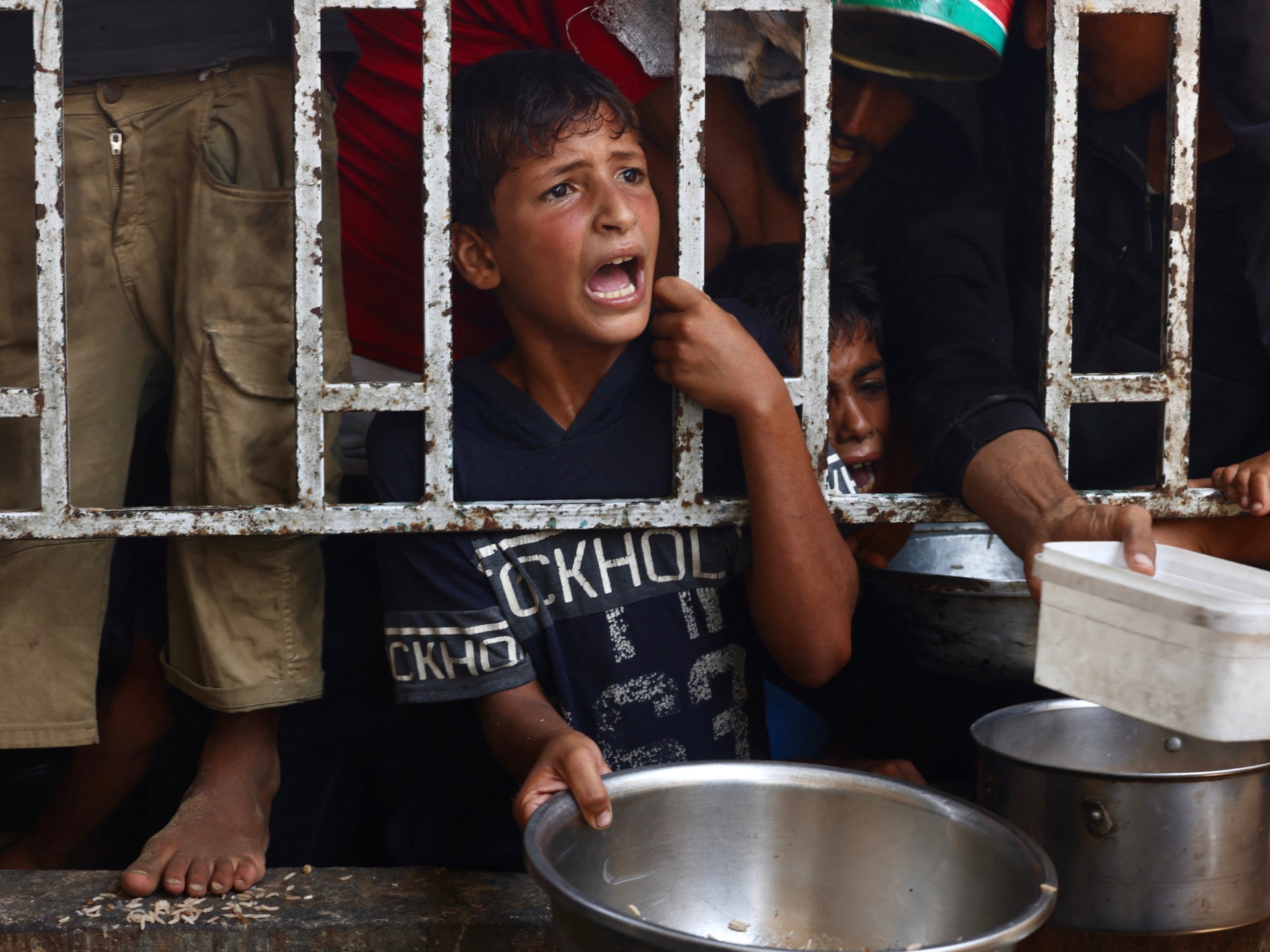 Anthony93544017's tweet card. At least 81 people, including 31 aid seekers, killed in Israeli attacks across Gaza since dawn as hunger crisis deepens.