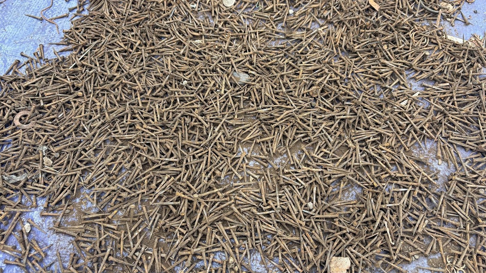 itvwestcountry's tweet card. Thousands of rusty, used nails and tacks were scattered across the site of a new car boot overnight on Friday 19 July. | ITV News West Country