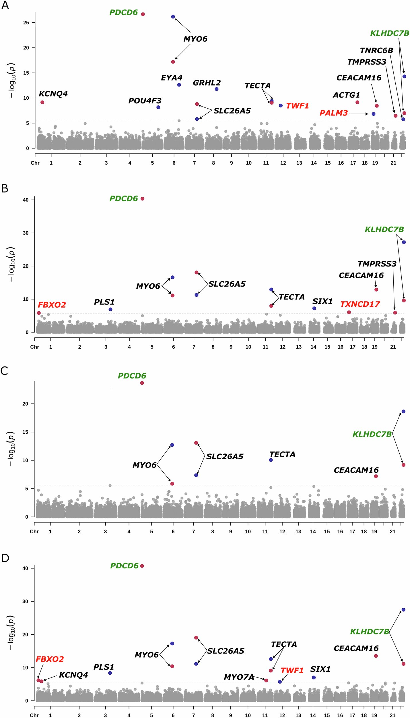 ejhg_journal's tweet card. European Journal of Human Genetics - Mendelian non-syndromic and syndromic hearing loss genes contribute to presbycusis