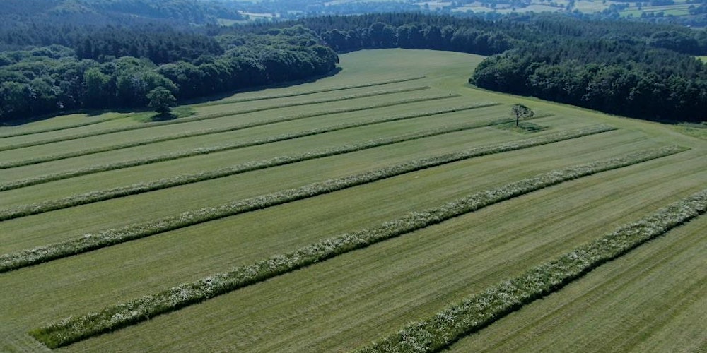 FOFCommission's tweet card. Living mulches, Agroforestry and whole farm systems with Jonty Brunyee, Hannah Fraser and Alex Fraser