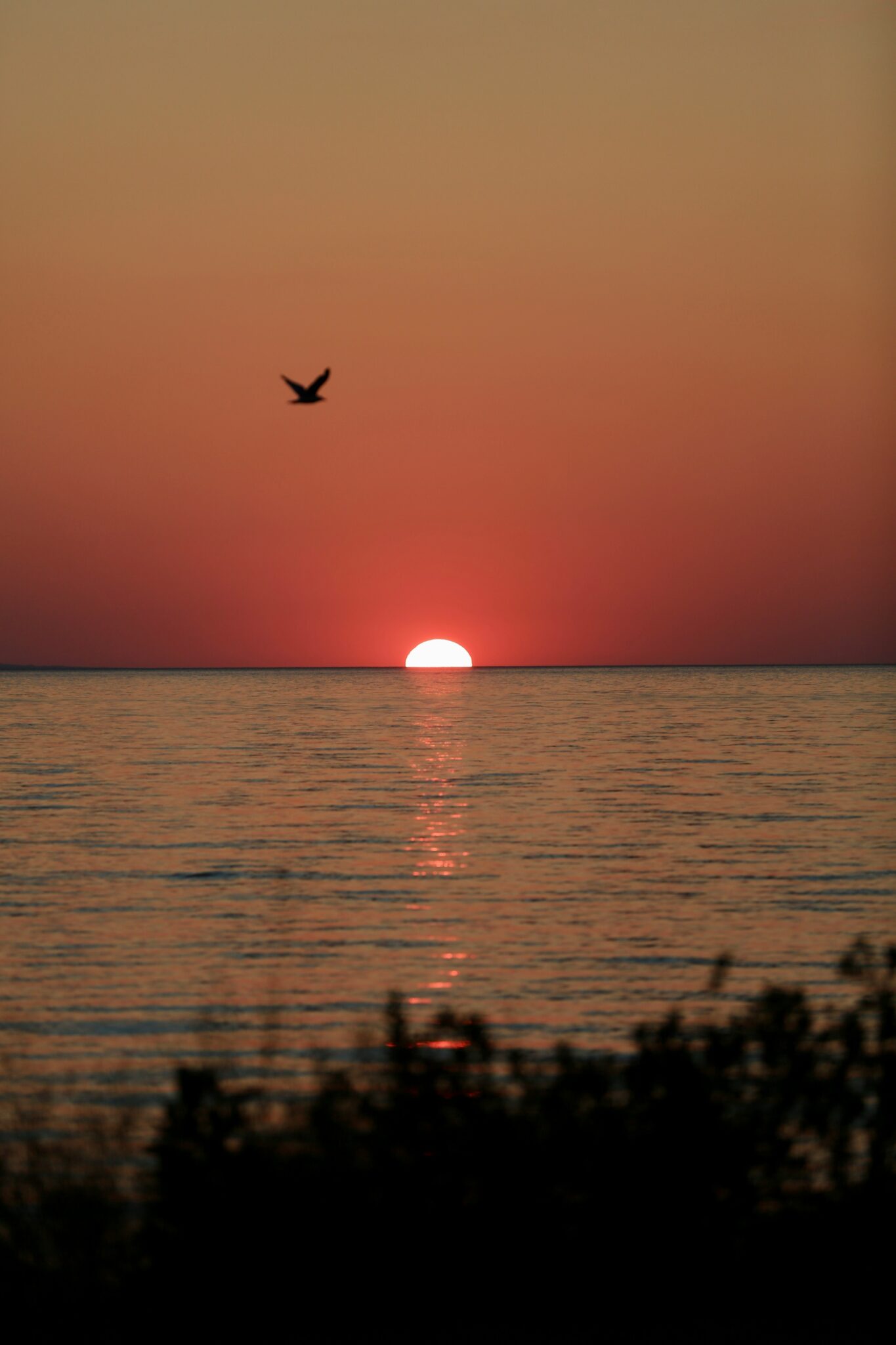 pothen's tweet card. The Government of Ontario plans to sell parts of the park worth tens of millions of dollars to developers. This represents almost one third of Wasaga Beach Provincial Park.