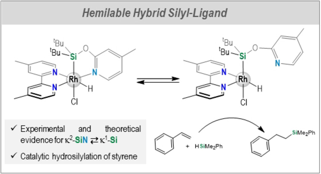 PacoFernandezA2's tweet card. The hemilabile character of the NSi ligand in 18e saturated Rh–(κ2-NSi) species has been demonstrated.