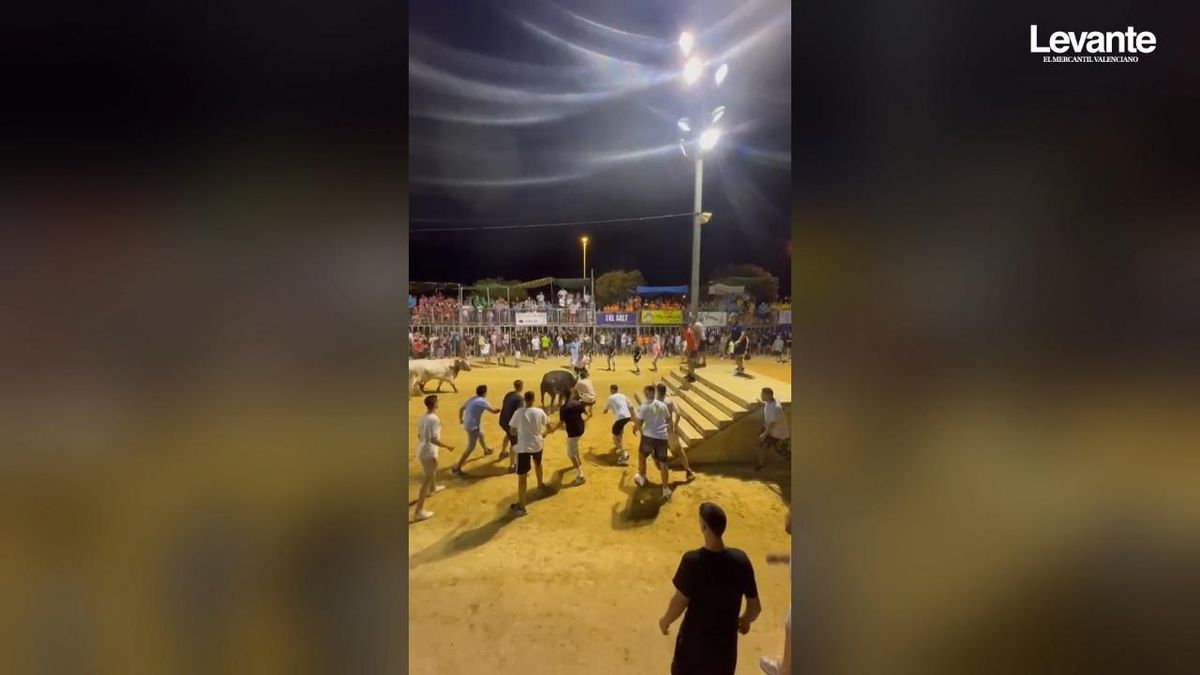 informacion_es's tweet card. Una vaca se ensaña durante 50 segundos con un hombre al que golpea y arrastra en varias ocasiones