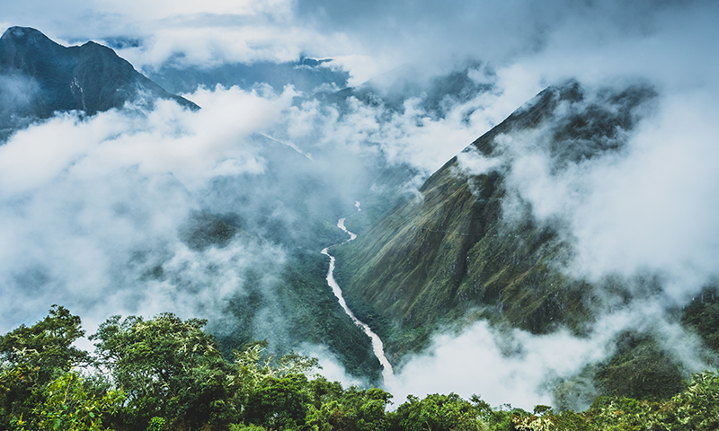 ECOWARRIORSS's tweet card. The story of an Ecuadorean forest that fought annihilation and won