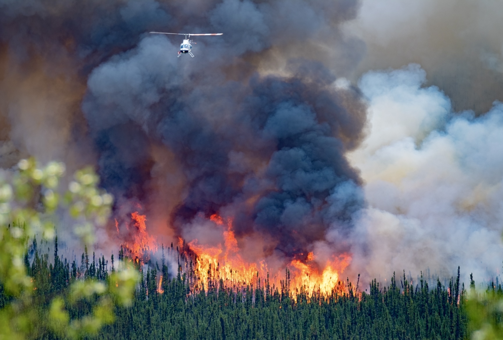 cultmtl's tweet card. Climate change continues to be politicized even as wildfires and flash floods destroy land, property and people on both sides of the border.
