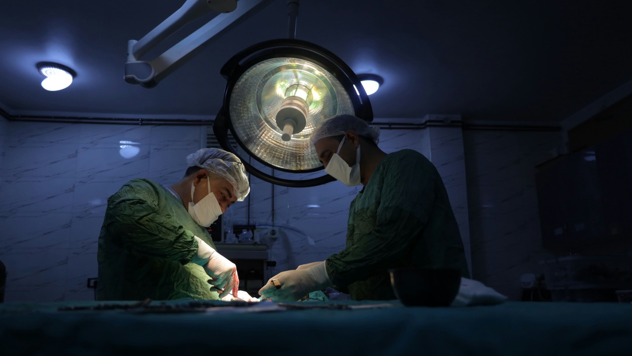 ModernityNews's tweet card. "Hospitals allowed the organ procurement process to begin when patients showed signs of life, and this is horrifying," Health and Human Services Secretary Kennedy said