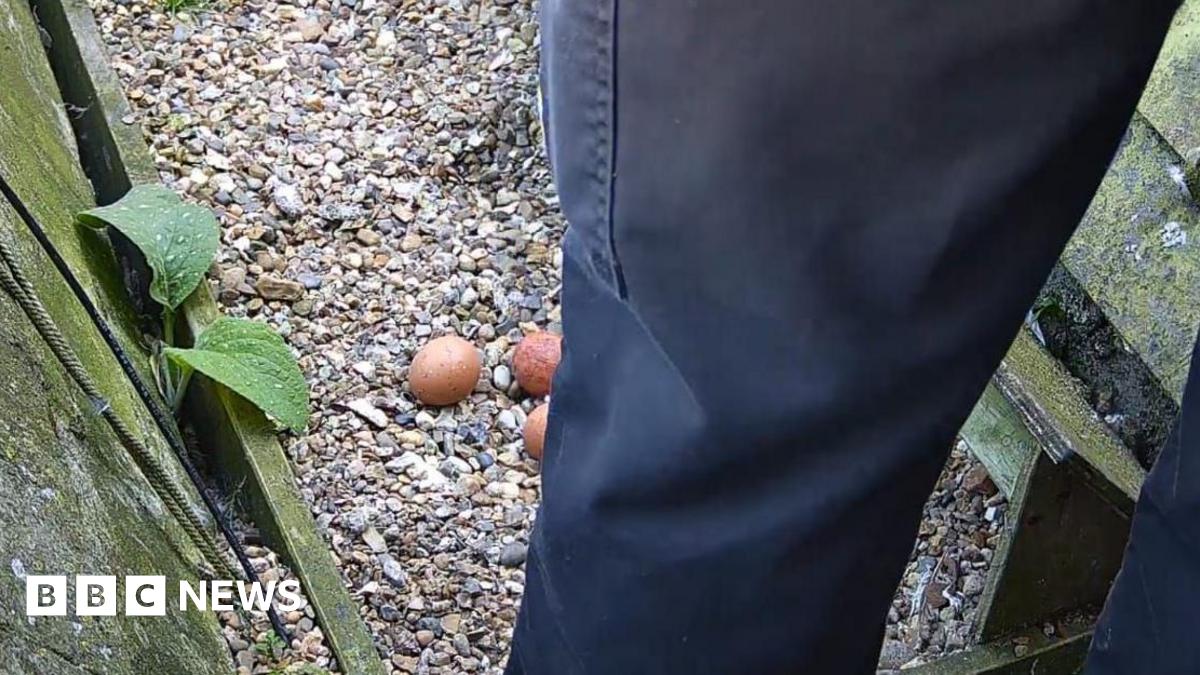 Jimasinjam's tweet card. Police are investigating after reports that a man was seen walking across the nest.