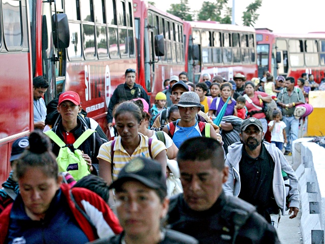 BorderHawkNews's tweet card. A poll reveals huge opposition to amnesty for illegal aliens, while most Americans continue to back Trump's deportation agenda. 